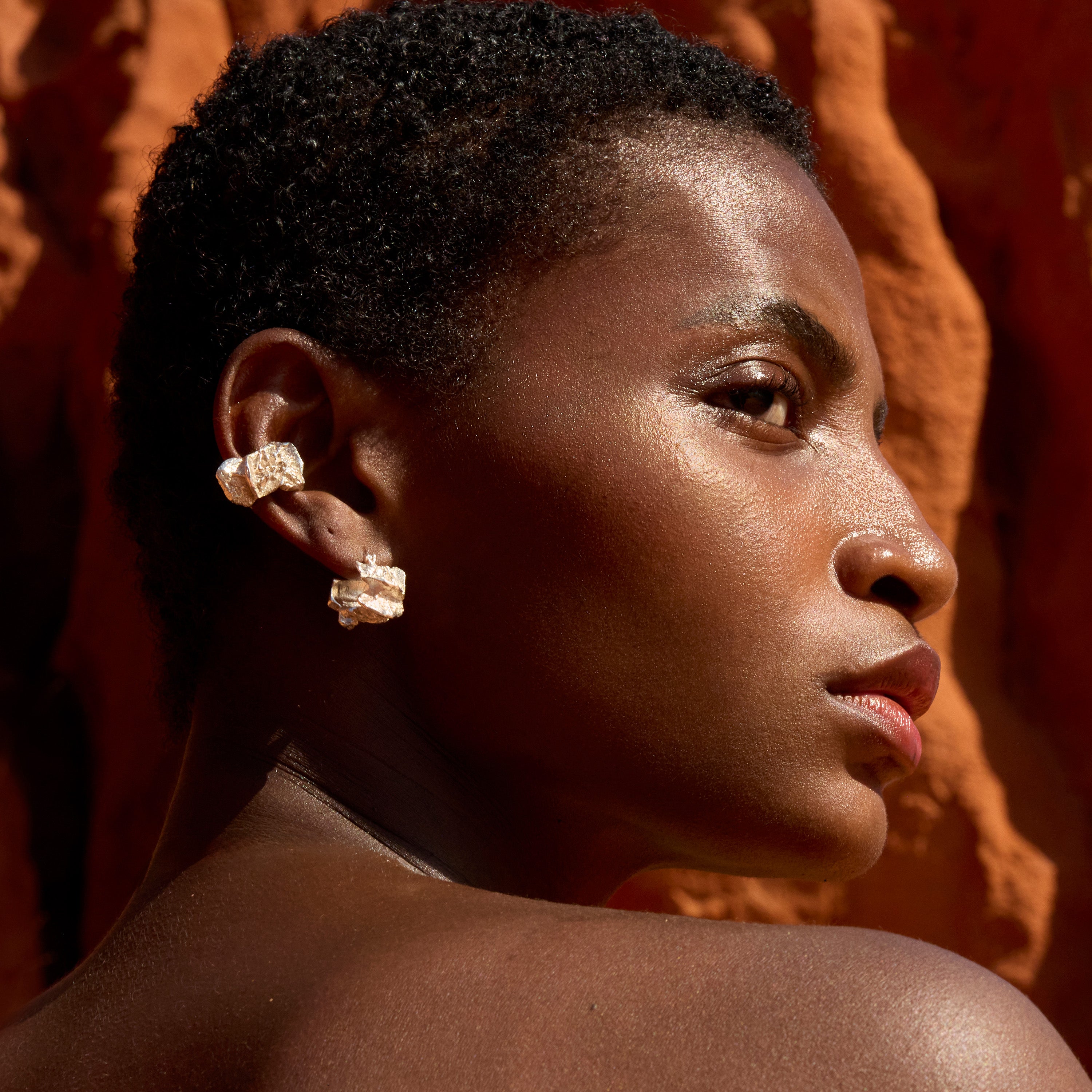 Aridia Argenti Earrings